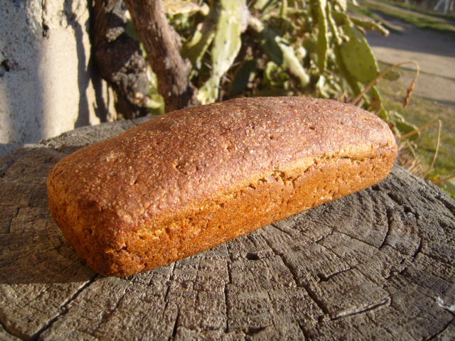 379 Schwabisches Albrot amb MaMa.JPG
