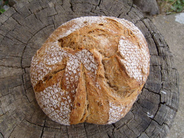 1 Pan de trigo integral con copos y granos 5.3.2012.JPG