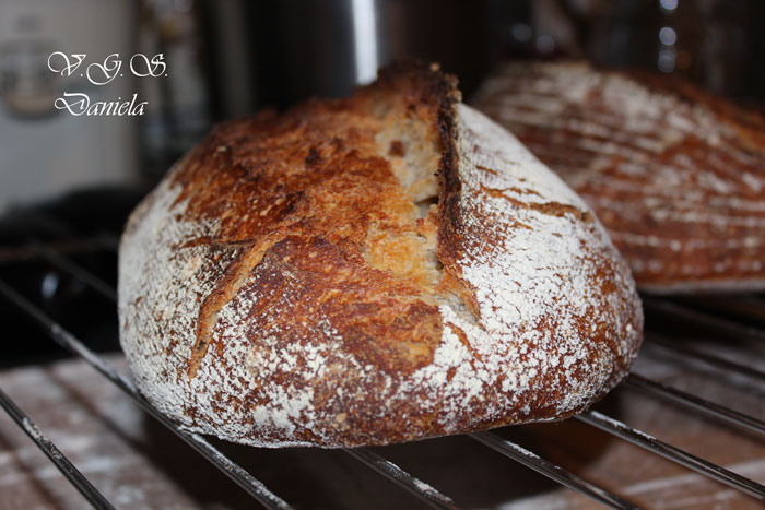 Vermount-sourdough-20%-integral1.jpg