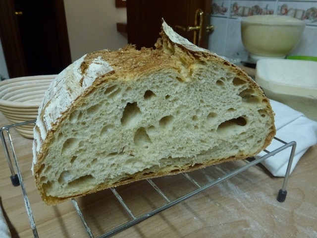 20120317_194323.JPG
