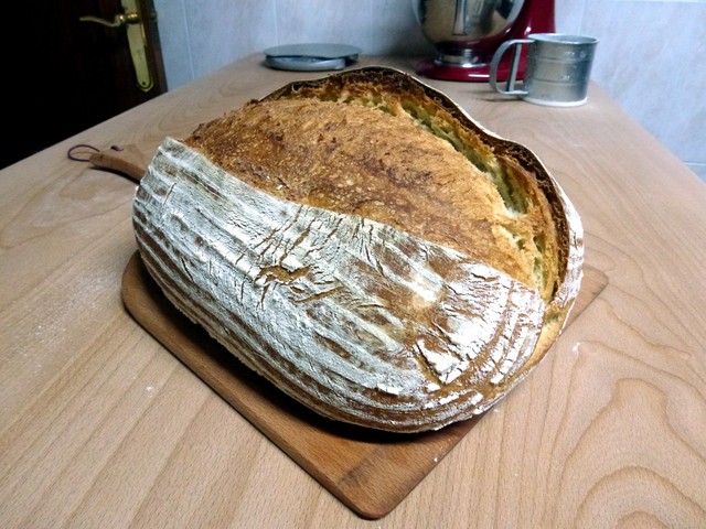 20120321_221116.redimensionada.JPG