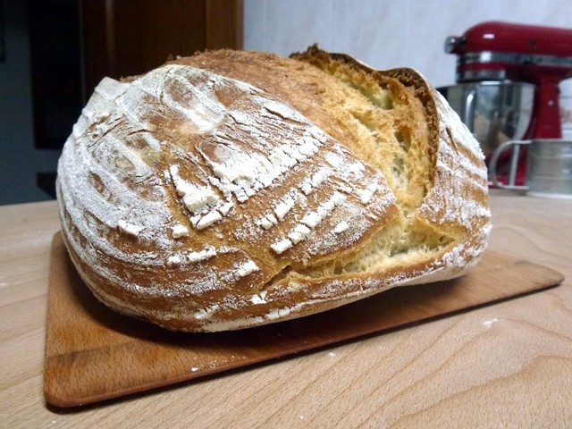 20120321_221135.redimensionada.JPG