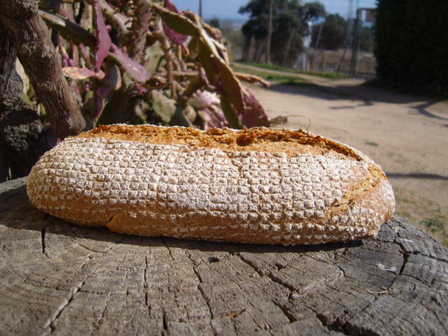 395 Sour Rye  1939 variació.JPG