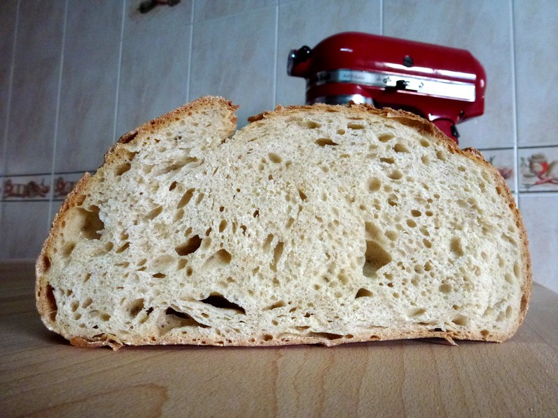 20120322_165318.redimensionada.JPG