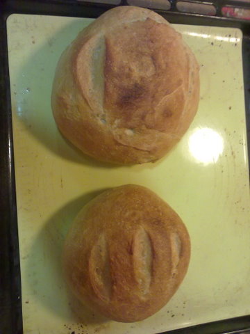 11082010040.jpg