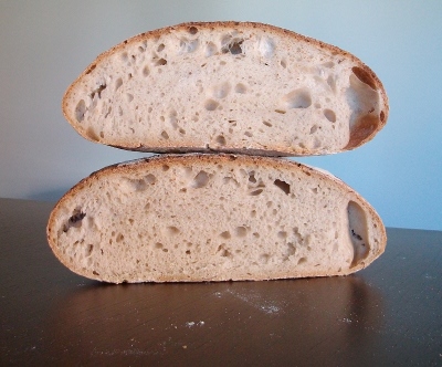 pansote4b.JPG