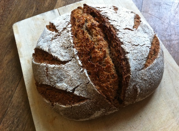applecider_sourrye.JPG
