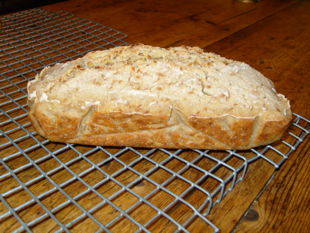 101 sin gluten con lino en remojo