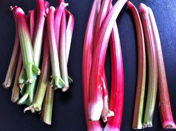 rhubarb.jpg