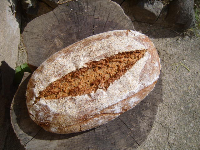 443  80% rye with rye-soaker.JPG