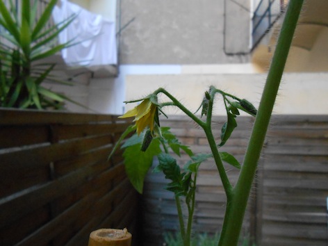 DSCN0556.JPG