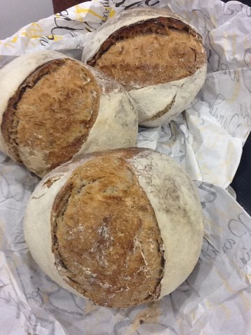 panloaf (360 x 480).jpg