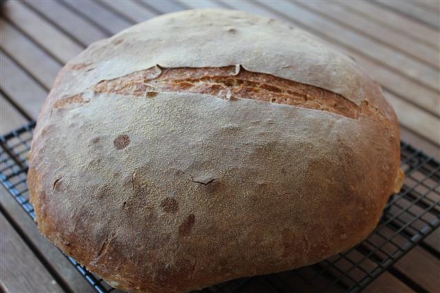 pan-blanco-basico_small.JPG