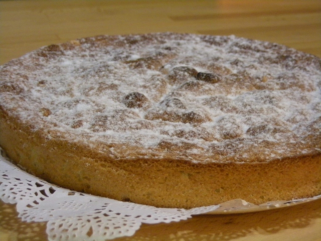 023 gató d´ametla, bonissim! (640x480).jpg