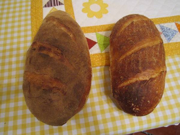 pan harina recia.jpg