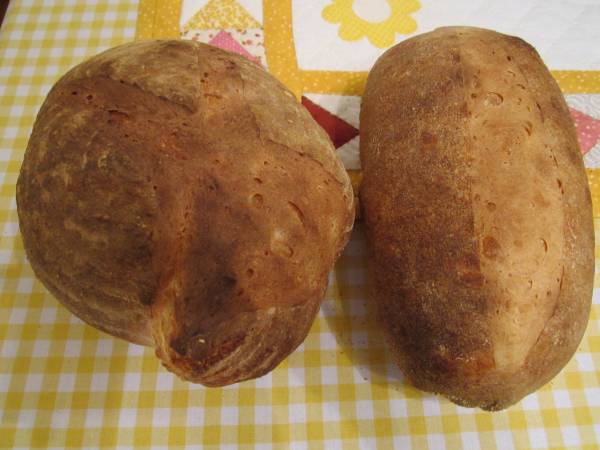 pan semola rimacitina.jpg