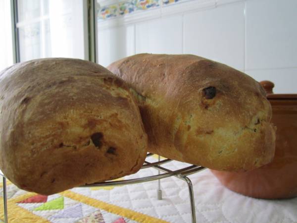 molde bichos.jpg