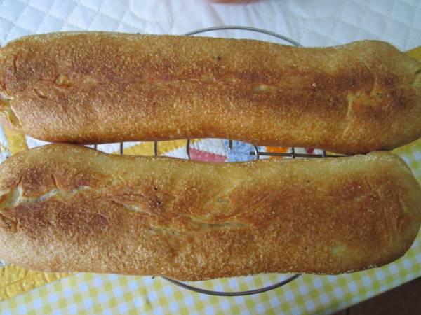 c- semola.jpg