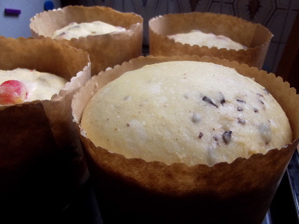 panettone1.JPG