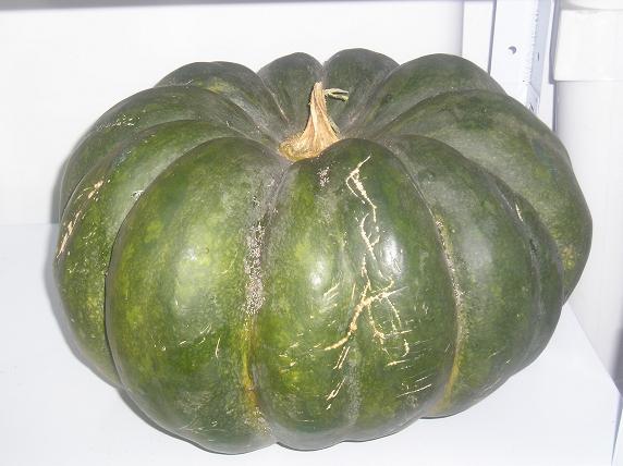 Calabaza.JPG