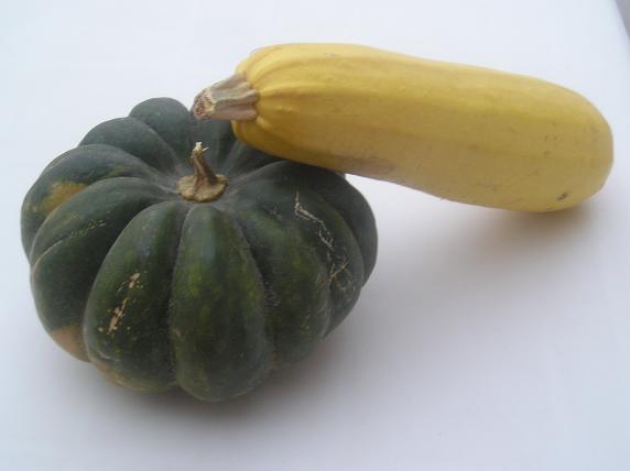y calabacín.JPG