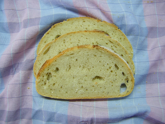 molla.jpg