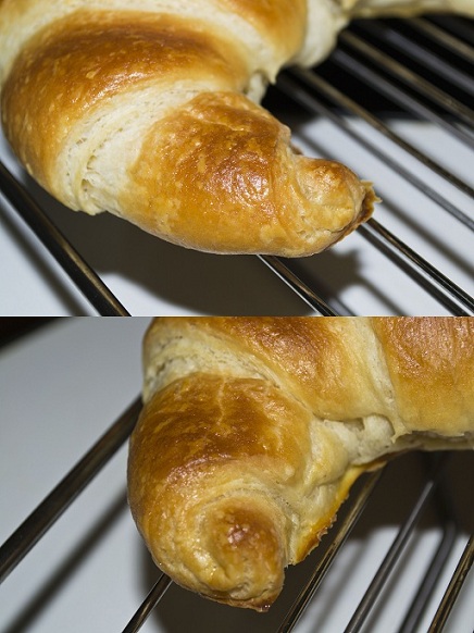 Patitas.jpg