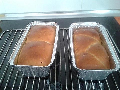 brioche-croissant.jpg