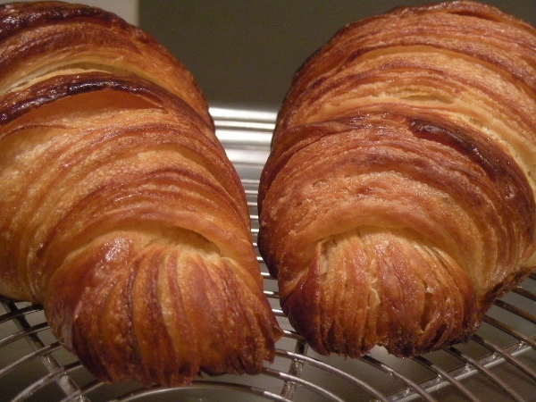 022 - torpedes de 66gr (600x450).jpg