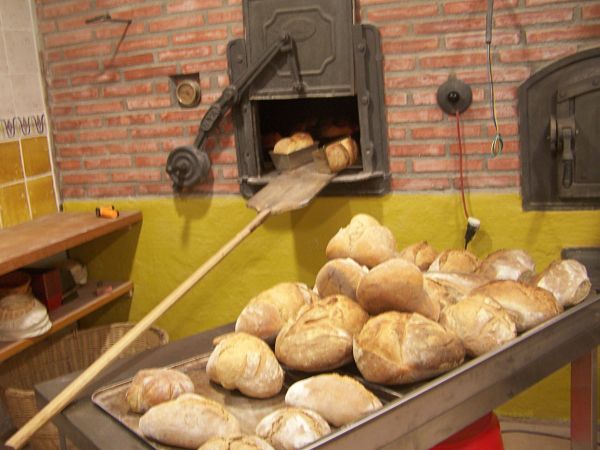 Panes de esta mañana, pagés, rústics, integrales de molde, .... unos 60kg el horno lleno y todo vendido antes de salir...