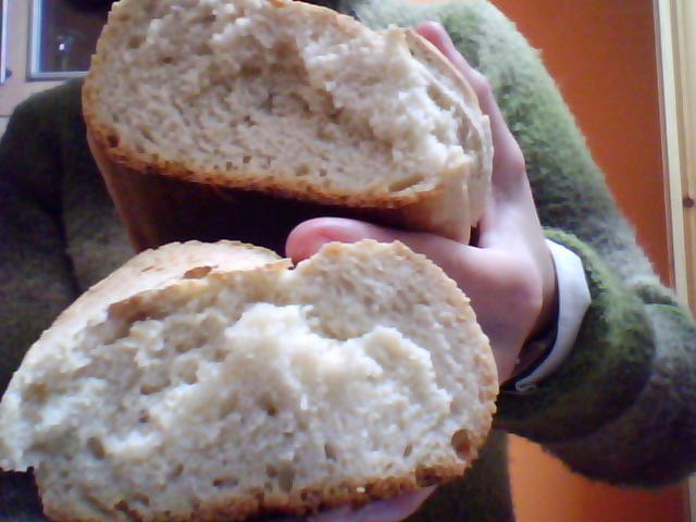 Miga del pan
