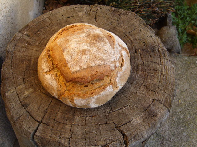 145 Pan de trigo