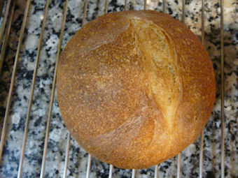 pan1.jpg