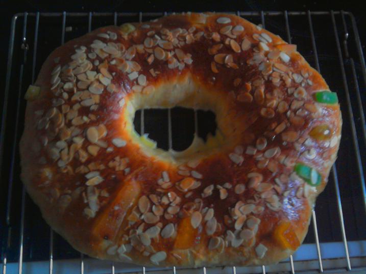 2011-01-02 12.54.23_planta.JPG