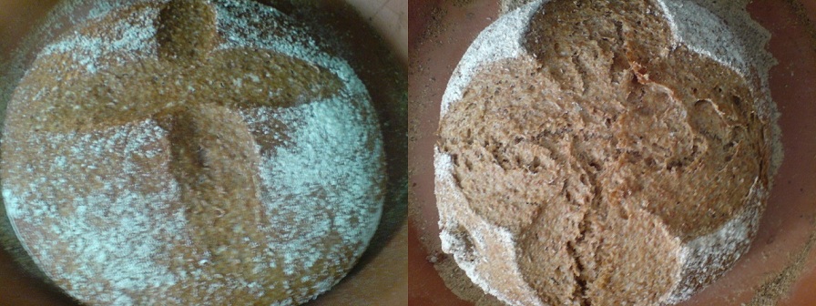 Comparación 1.jpg