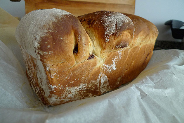 bollo.jpg