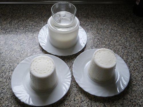 queixo13.jpg