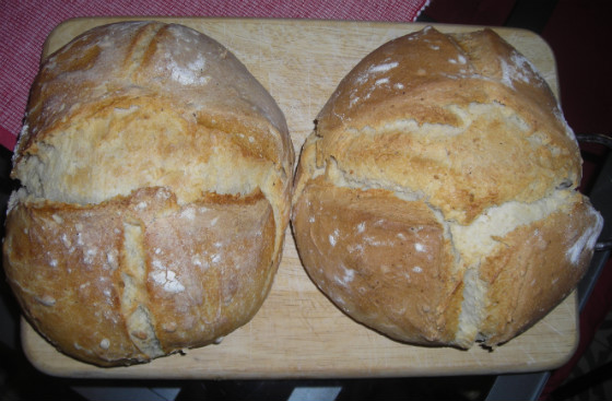 2 pipas+avena.JPG