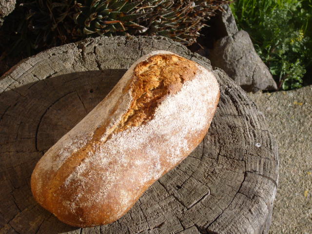 178 Pan de espelta con masa vieja