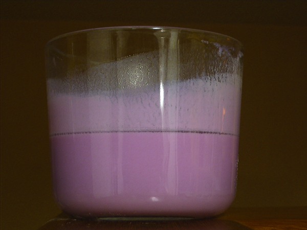 lechucrut.jpg