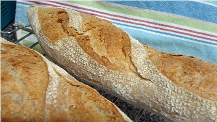 Barritas Gallo 2.jpg