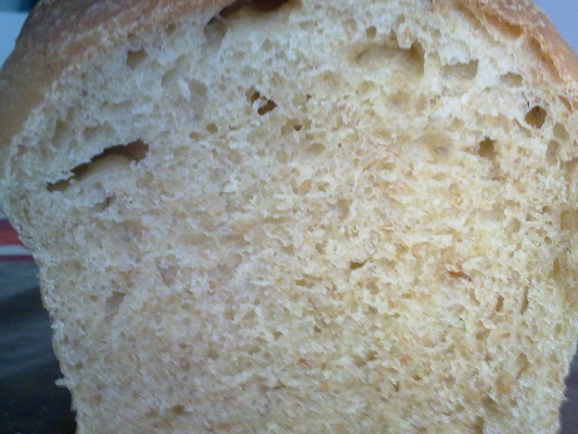 20110212_36.jpg