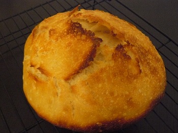 no knead con MM.jpg