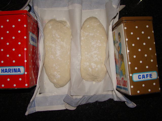 el inicio 2.jpg