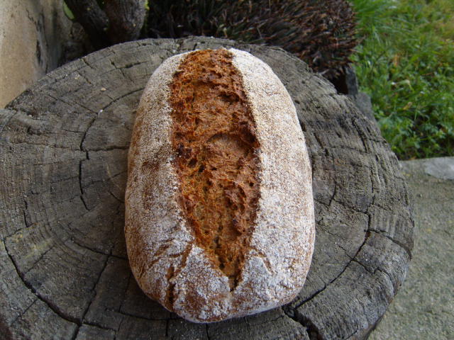 216 Pan de nueces