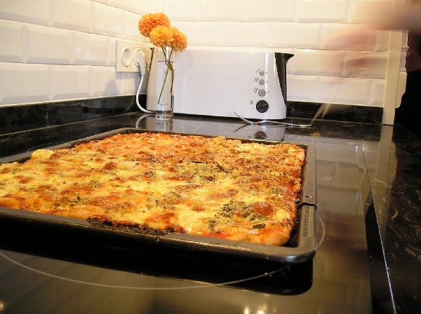 Pizza hecha sobre bandeja de horno