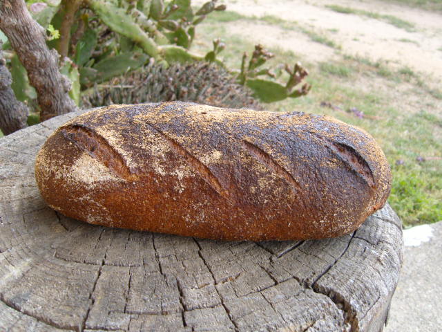 227 Pan de 2 espeltas
