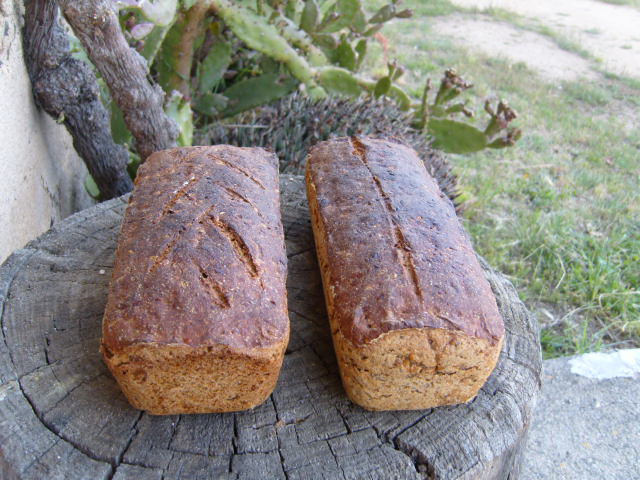 230 Pan de centeno con cereales enteros