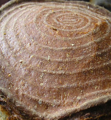 Un pan con sombrero: detalle