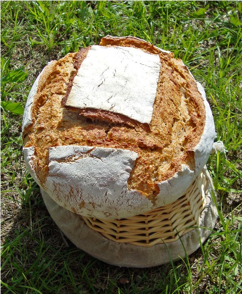 Pan de Cercs.jpg
